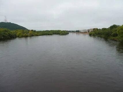 Уровень реки бира
