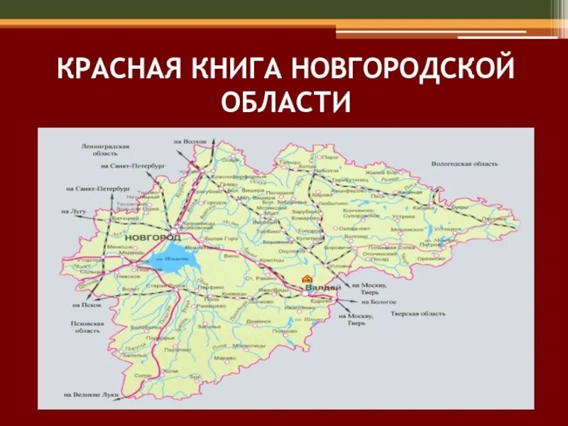 Новгородская область документы. Красная книга Новгородской области. Красная книга Новгородской области книга. Животные которые занесены в красную книгу Новгородской области. Красная книга Новгородской области животные и растения.