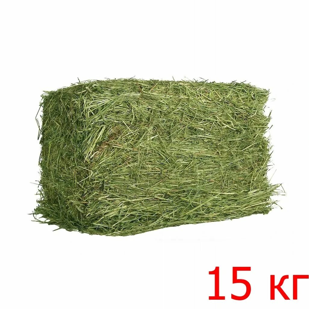 Сено отборное "зверье мое" 500 гр. Хэппи джангл сено луговое. Сено для морских свинок зверье мое. Сено (клевер+люцерна) 1 тюк. Люцерна сено.
