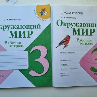 Рт окр мир 3