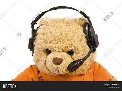 Bears radio