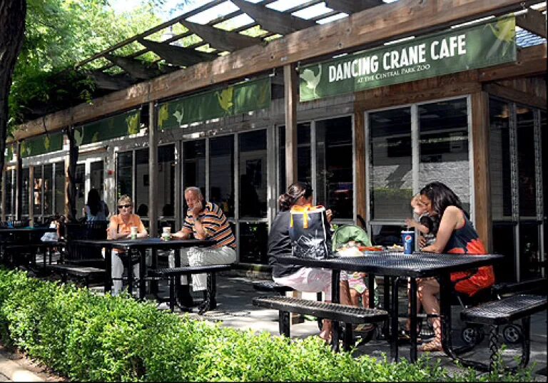 Nearest cafe