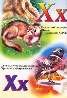 Живая азбука животных