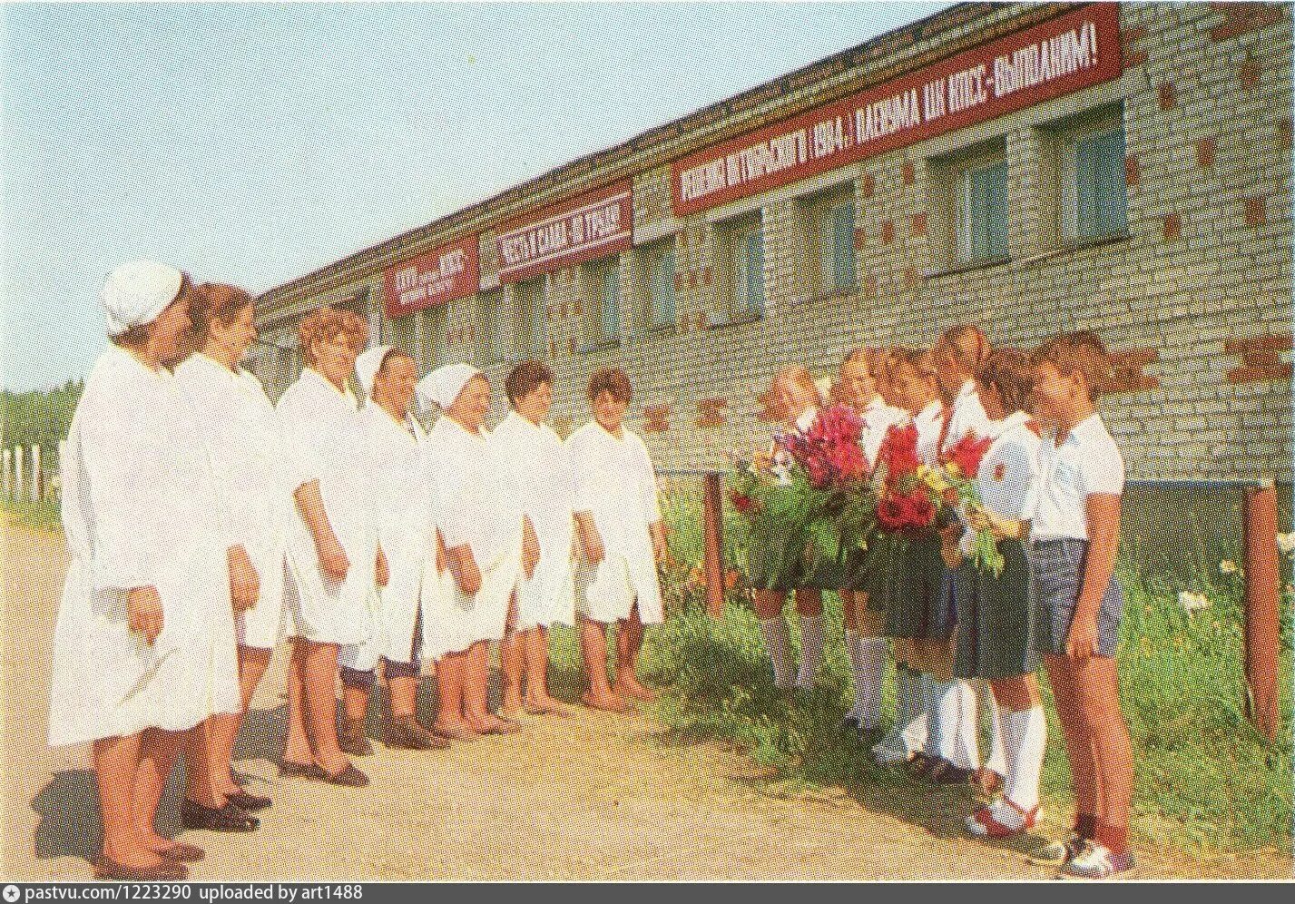 Опх ермолино дмитровский район. Деревня ермолино ивановская область. Ермолино поселок московской области. Ермолино (дмитровский городской округ). Совхоз ермолино.