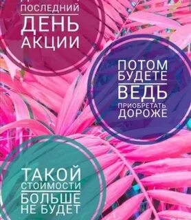 Последние дни цен