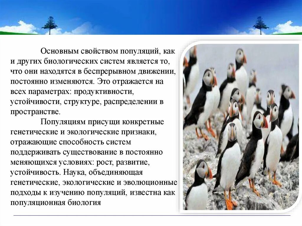 Популяция способна к. Основные характеристики популяции. Популяция как биологическая система. Популяция как биосистема. Популяционная экология.