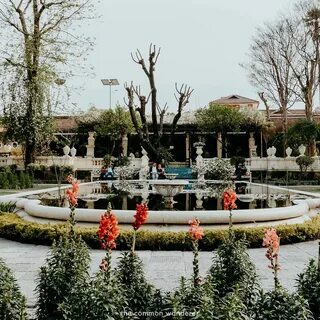 Garden of dreams