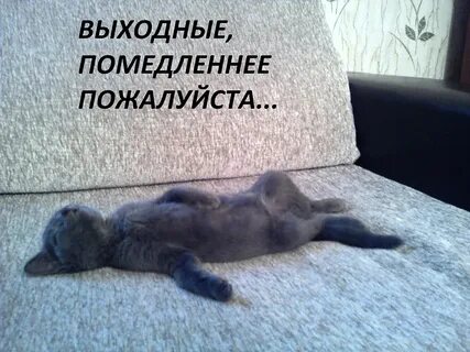 Не смотря на выходной
