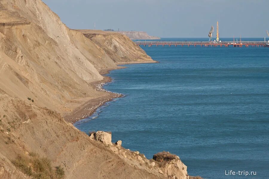 Таманский полуостров. Таманский полуостров фото. Тамань пейзаж. Таманский залив. Друг тамани