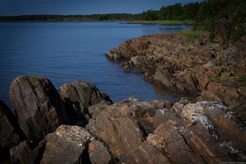 Белое море мурманская