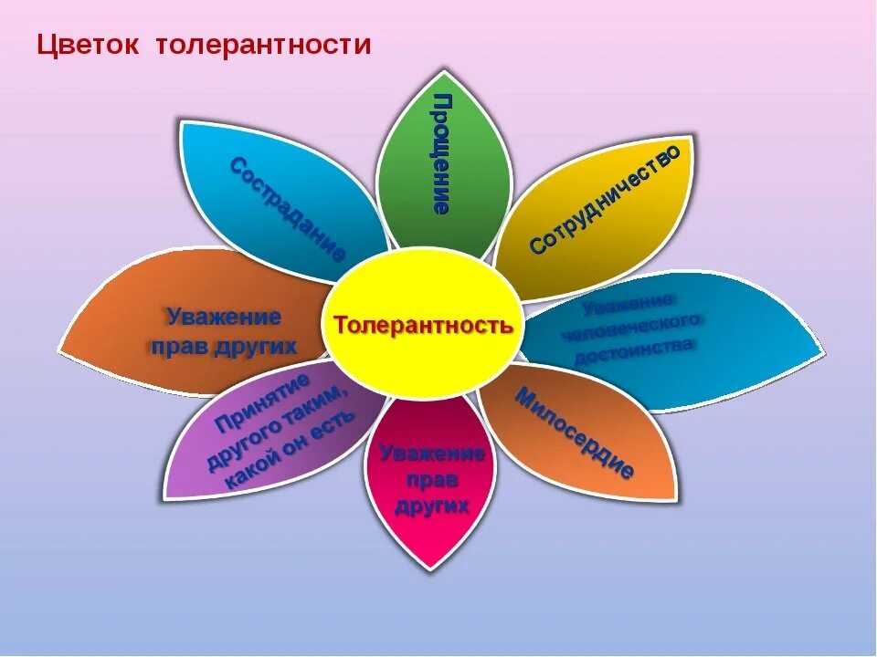 Мероприятия к дню толерантности в школе. Цветок толерантности. цветок толерантности для детей. рисунок ко дню толерантности. лепестки цветка толерантности.