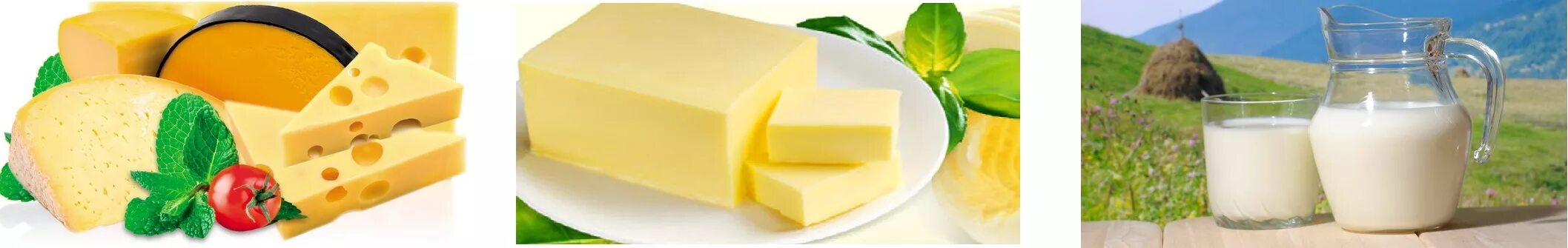 Масло сыр ростов. Сыр и сливочное масло. Сыр радонежский 45 сальское молоко. Продукты сыр. Сливочное масло сырное.