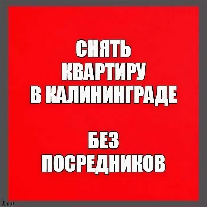 Калининград посредник. Калининград посредник