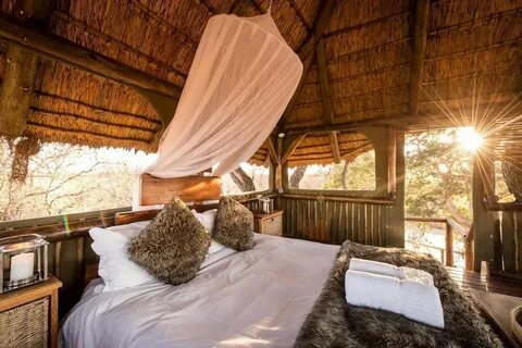 Lodge