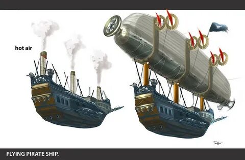 Fly in a pirate