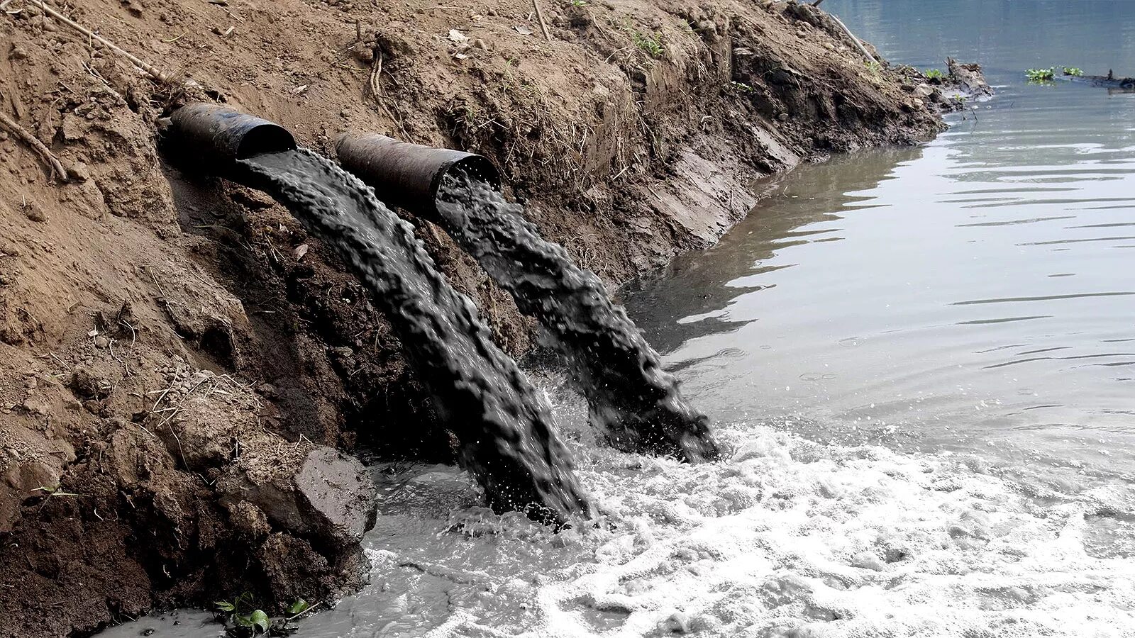 Загрязнение воды. Сточные воды. Экология загрязнение воды. Канализация и сточные воды. Рост загрязнения воды