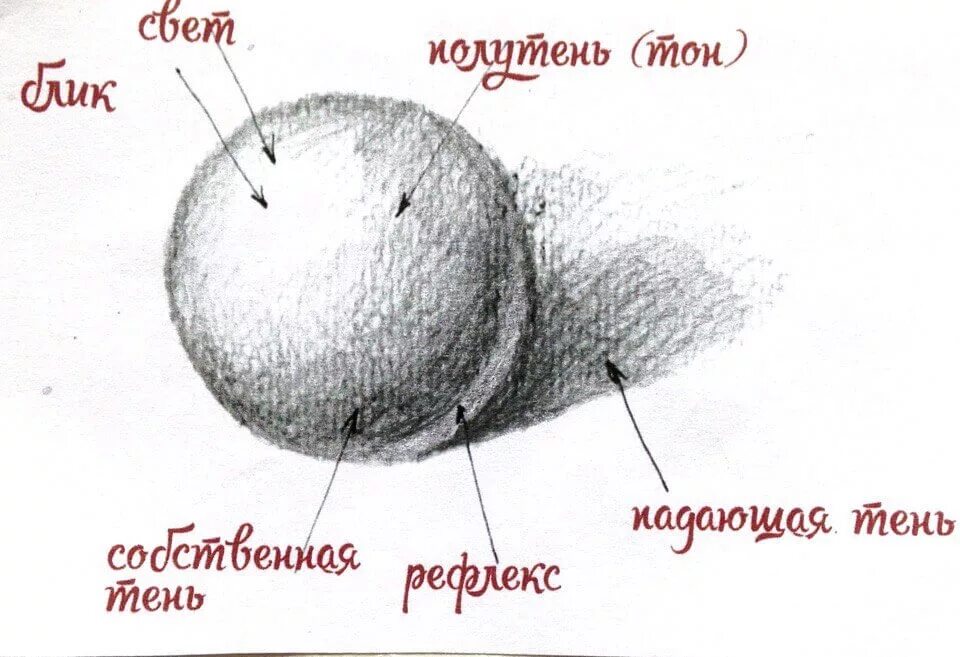 Свет и тень читать. Свет тень полутень рефлекс блик в рисунке куб. Тень полутень рефлекс в рисунке. Схема свет тень полутень рефлекс. Свет тень полутень рефлекс блик в рисунке для начинающих.