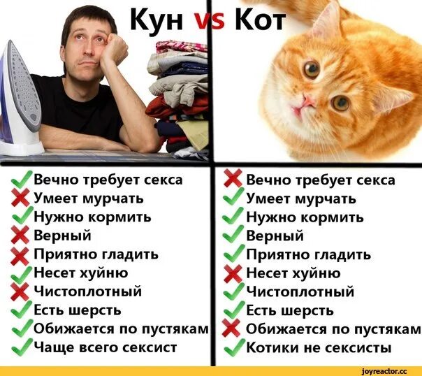 Почему Не Хотят Делать Куни