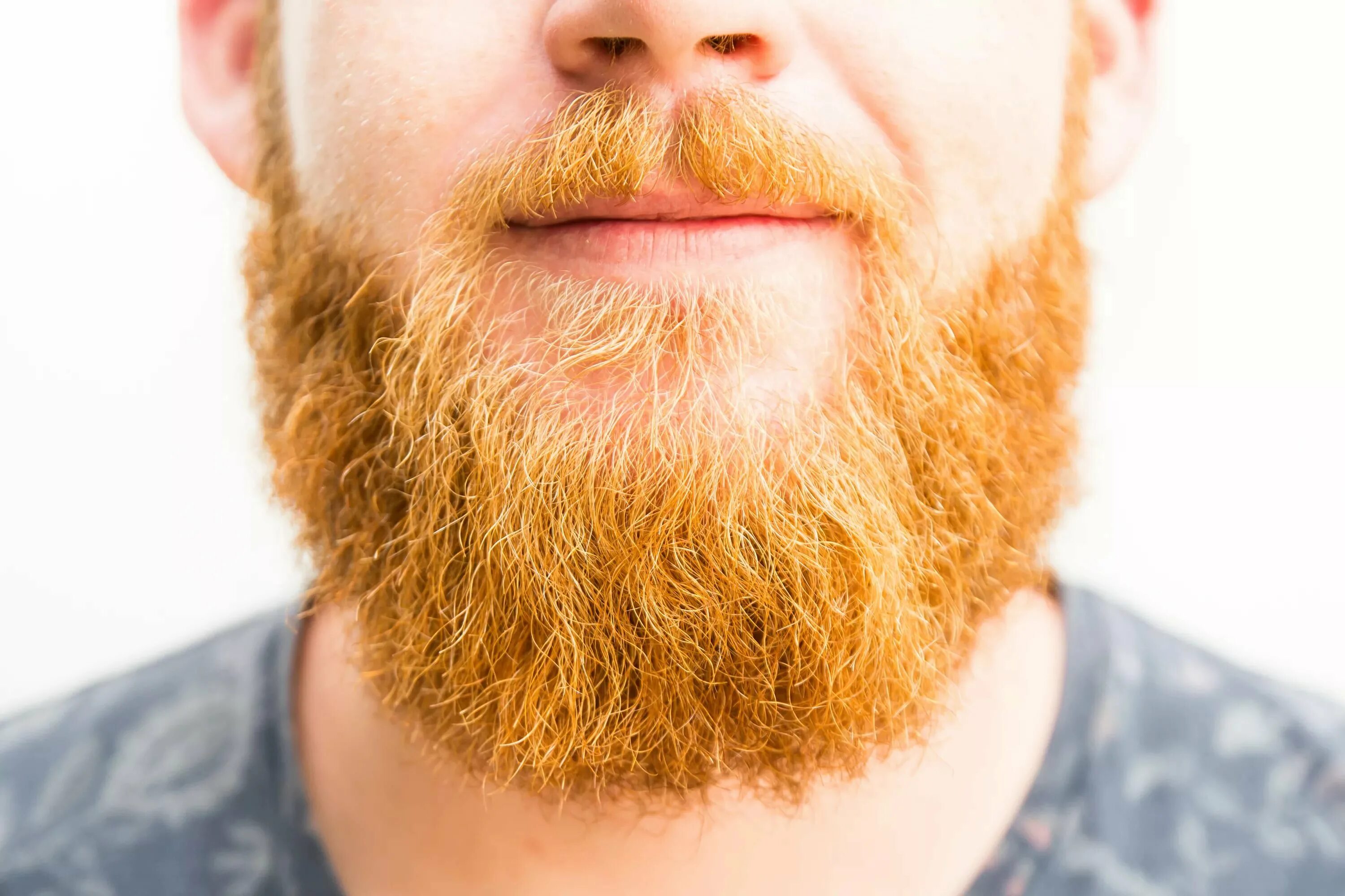 Почему появляется борода. Рыжий мужик с бородой. Рыжая борода. Кудрявая борода. Золотистая борода.