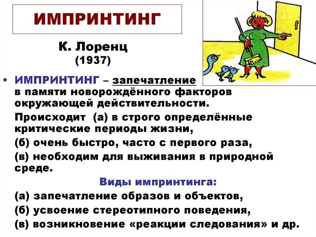 Что является примером проявления запечатления у подростка. Что является примером проявления запечатления у подростка