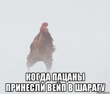 Нами тает лед никто не найдет