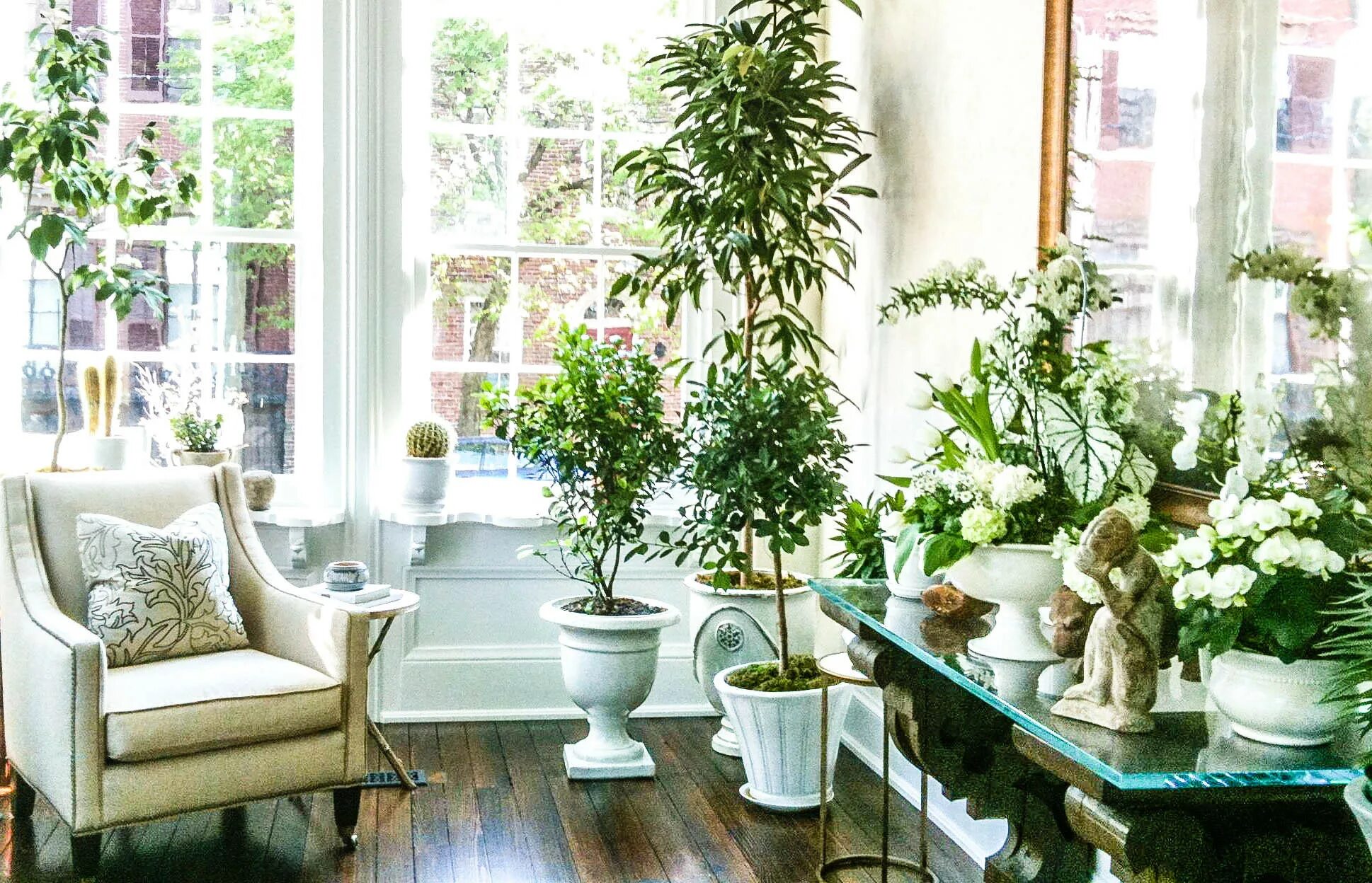 Комната с растениями. Комнатные растения в интерьере квартиры. Комнатные растения на окне. Уютные домашние растения.