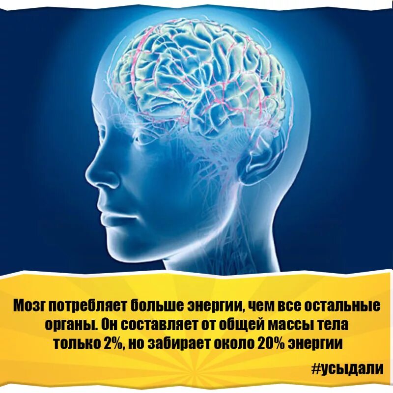Мозг тратит энергию. Энергопотребление мозга. Потребление энергии мозгом. Мозг потребляет энергию. Используйте свой мозг для изменений