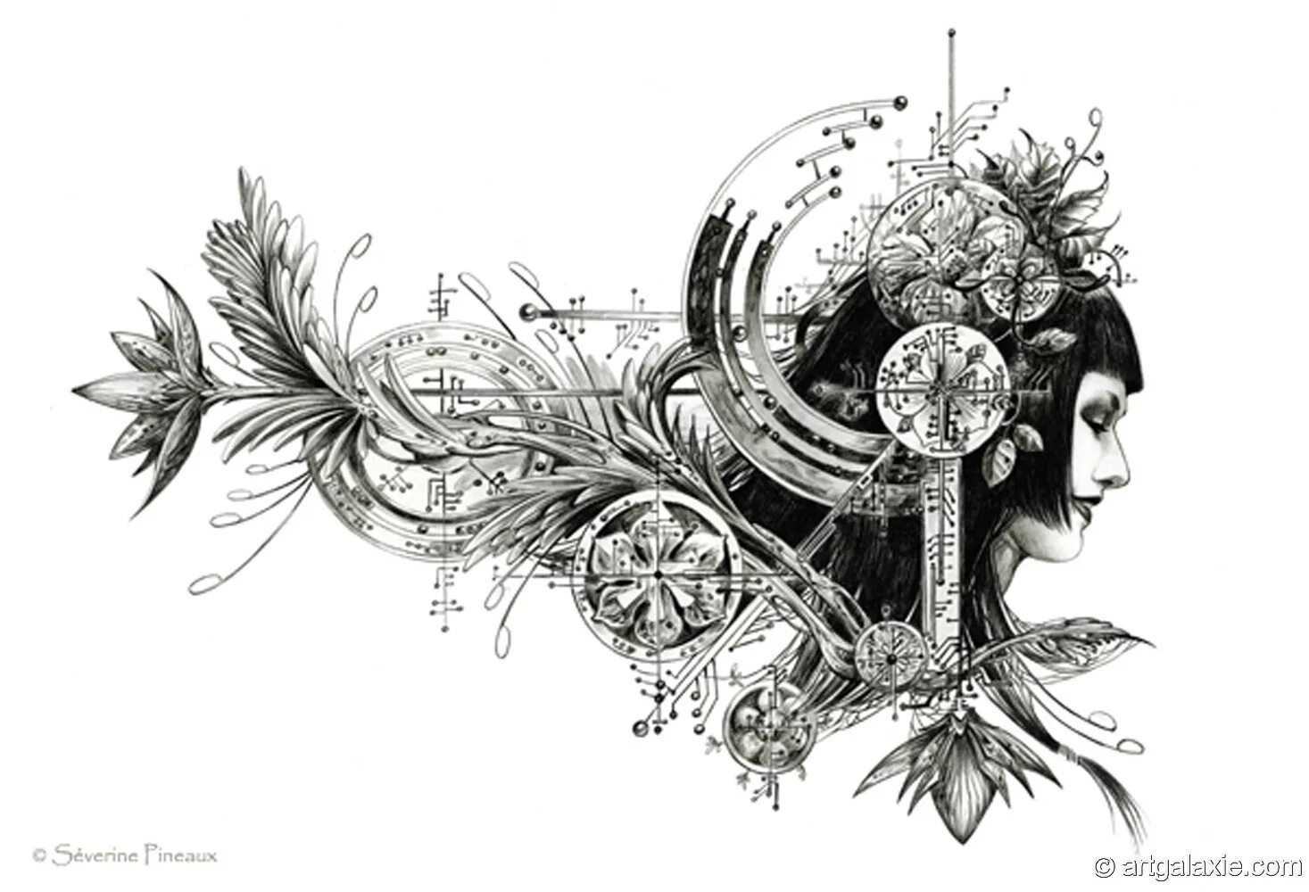 Minjae lee. Черно белые рисунки. Графика в стиле фэнтези. Стилизация человека. Индийская художница barnali bagchi.