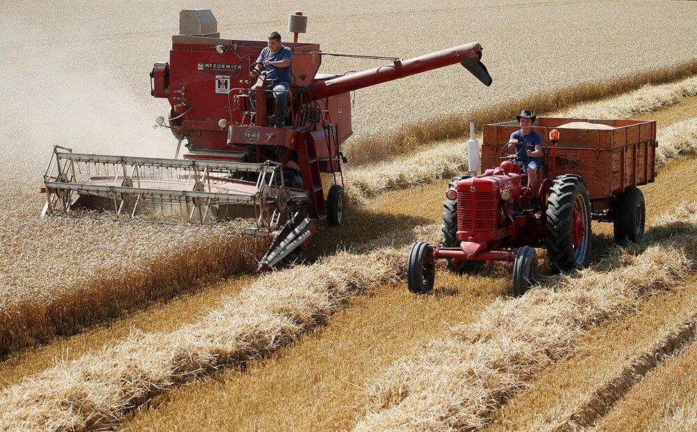 Аграрная политика стран. Аграрная политика польши. Аграрная политика стран. Единая сельскохозяйственная политика ес. Инструменты аграрной политики.