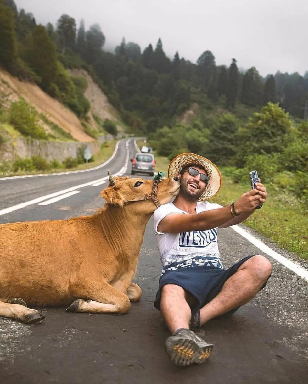 Смешные фотки. Забавные ситуации с животными. Прикольные картинки. Необычные ситуации. Смешное путешествие.