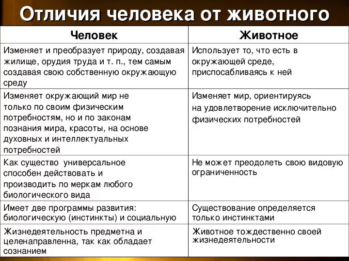 Три сходства человека и животного. Три сходства человека и животного