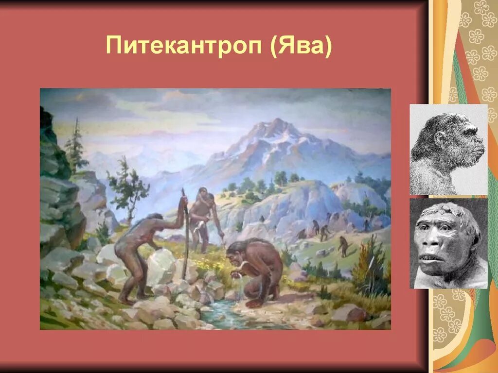 Синантроп внешний облик. Питекантроп. Занятия питекантропов. Остров ява древнейший человек