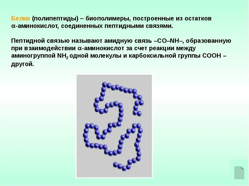 Почему белки называют. Белки ( протеины, полипептиды ) высокомолекулярные. Белки полипептиды. Пептиды полипептиды белки. Белки соединены пептидными связями.