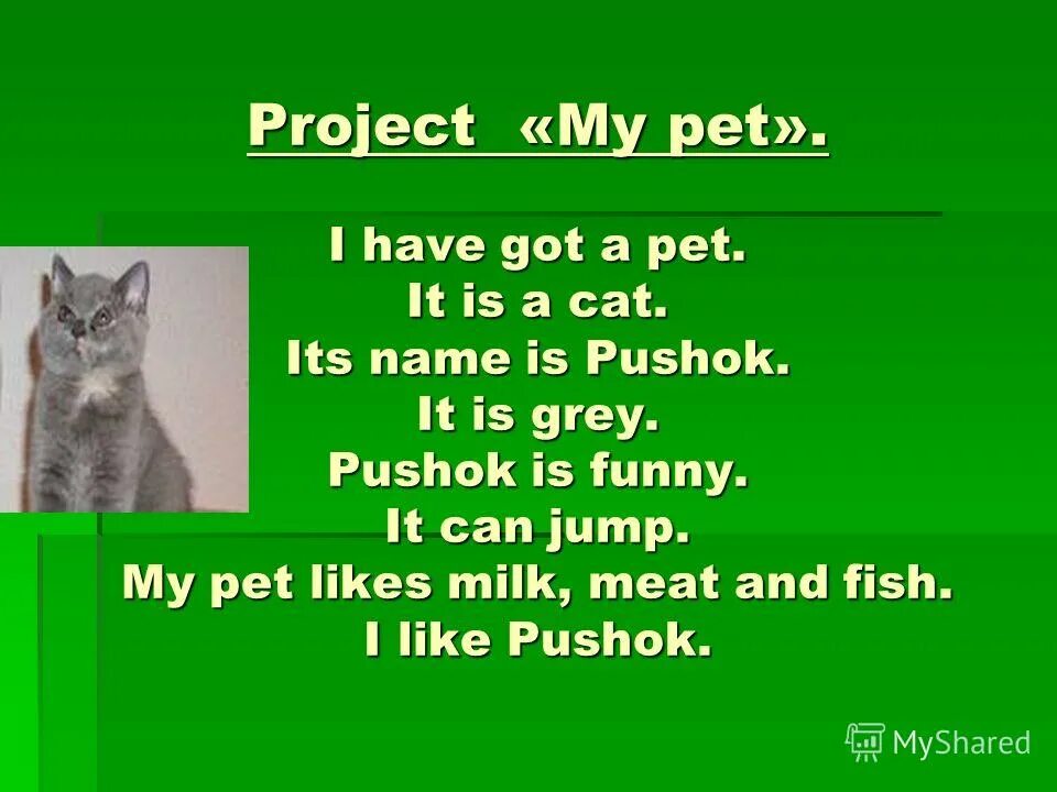 This is my project. My Pet тема. Проект my Pet. Проект по английскому. Рассказ о животном на английском 3 класс.