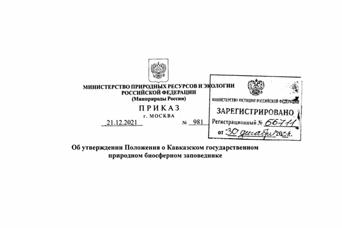 Приказ минприроды 261. Приказ Министерства природных ресурсов и экологии. Тульское Министерство природных ресурсов и экологии. Печать Министерства природных ресурсов. МПР РФ.