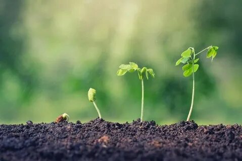 But growing