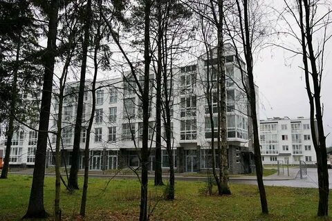 Вилладже зеленогорск