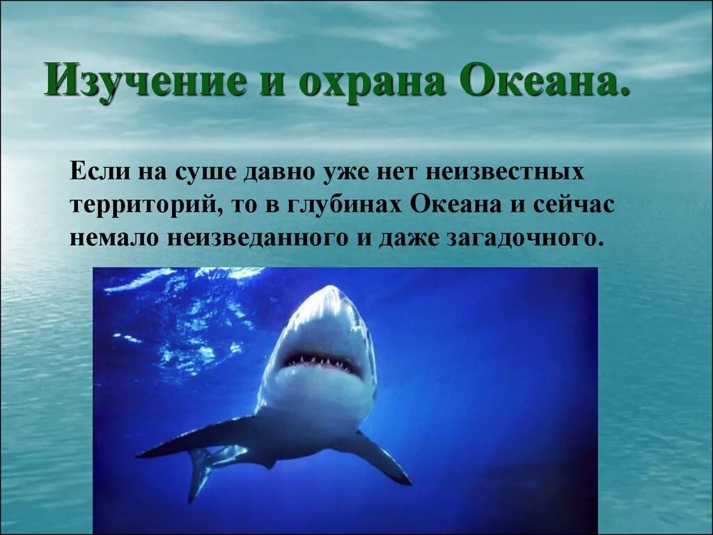 Сообщение жизнь в океане 6 класс. Изучение мирового океана. Исследование глубин мирового океана. Изучение океана проект. Исследователи мирового океана.