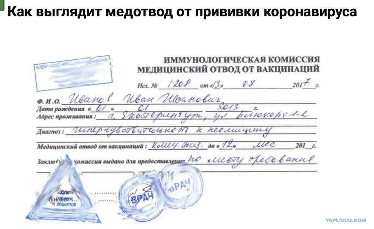 Диагноз дата рождения. Форма справки о мед отводе от прививки. Медицинское заключение на мед=отвод от прививки. Форма справки для медотвода от прививки от коронавируса. Справка о медотводе о вакцинации от коронавируса.