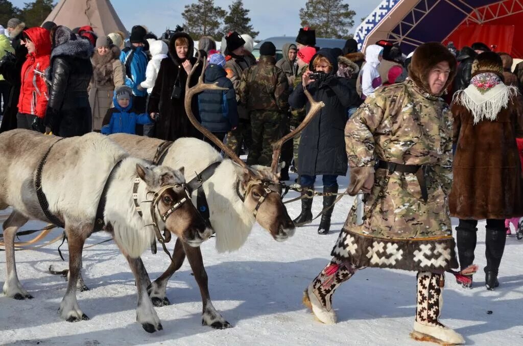 Оленеводы Русскинская. Слёт оленеводов Сургутский район. Тувинский оленевод. Праздник оленевода. День оленевода когалым