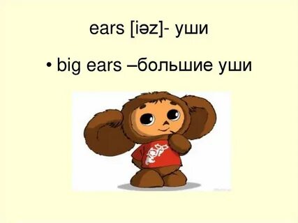 Большие уши имя
