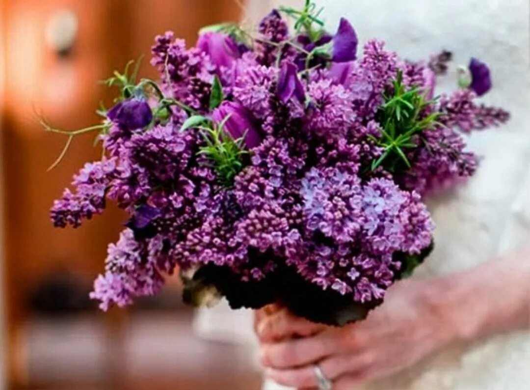 Зачем дарят сирень. Букет сирени в руках. Сирень леди линдсей. Букет сирени. Сорванная сирень.