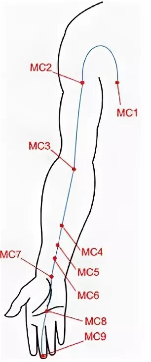 Точка mc 6. Точка Цзянь ши. Точка mc6 Нэй-Гуань Меридиан перикарда. Акупунктурная точка Цзянь-ши. Mc6 Нэй-Гуань точка акупунктуры.