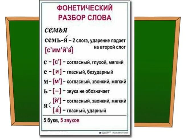 Фонетический разбор слова. Фонетический разбор 5 класс. Семья фонетический разбор. Фонетический анализ 5 класс.