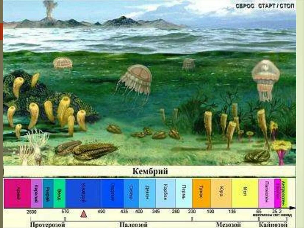 Времена т эпохи. Протерозой Эра древней жизни. Архей протерозой Кембрий Ордовик. Палеозой Эра Кембрий. Эры Архейская протерозойская Палеозойская.