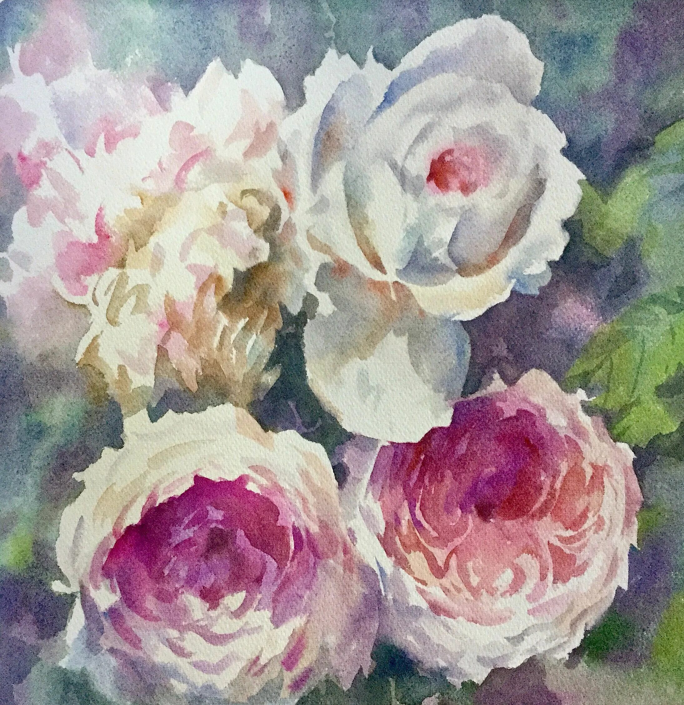 роза сорт aquarell. сергей курбатов цветы акварелью. описание розы акварель. розы акварель набор. описание розы акварель.