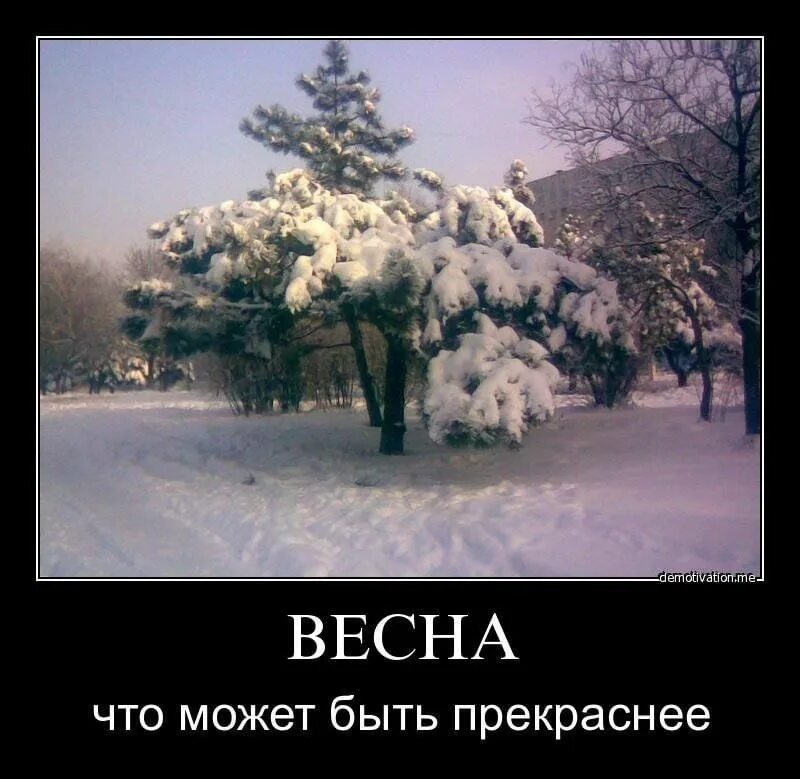 Зима закончилась и вот я начинаю жить. Смешное про весну. Приколы про зиму и весну.