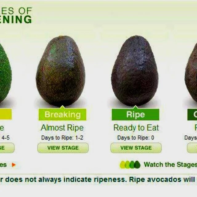 Авокадо как правильно выбрать в магазине спелый. Авокадо дозреть авокадо. Авокадо Хасс зеленый. Степень зрелости авокадо Хаас. Как выбрать спелый авокад.