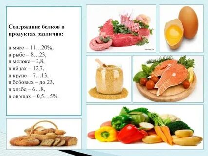 В каком фрукте больше белков