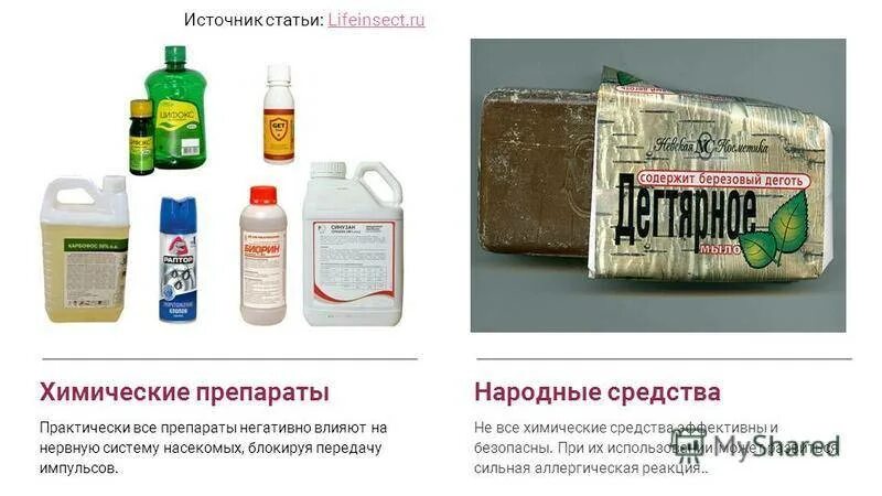 Обработка дома от блох. Средство от земляных блох. Средство от блох в курятнике. Обработка помещений от блох препараты. Средство от земляных блох в квартире.